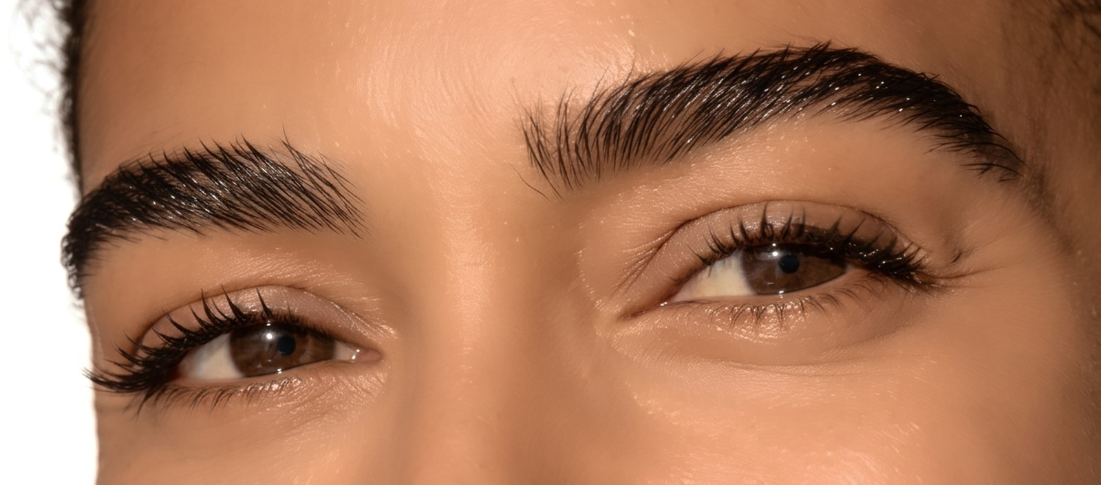 Soft, defined brows after permanent makeup